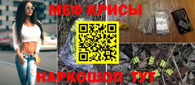 индика Заводоуковск