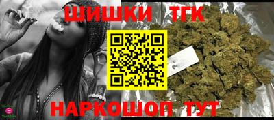 индика Заводоуковск