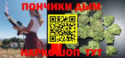 индика Заводоуковск