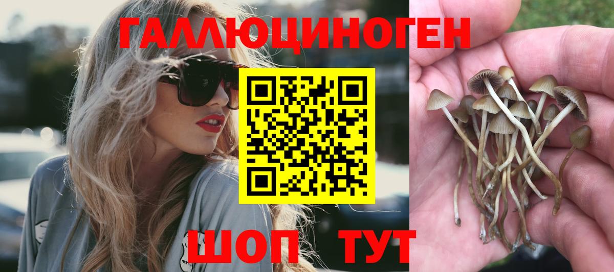 Лосино-Петровский  Псилоцибиновые грибы мухоморы  как найти закладки  Вход с VPN 