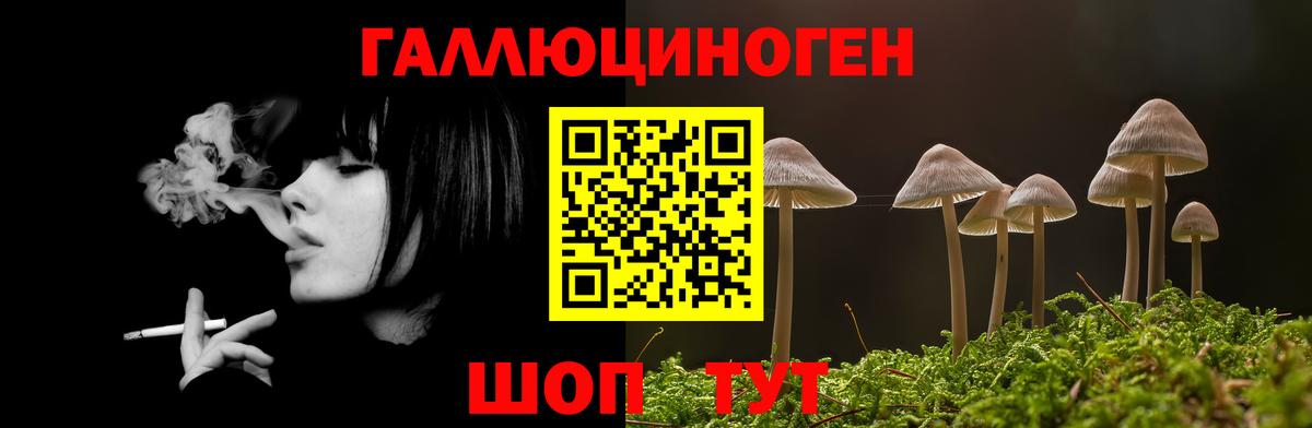 Псилоцибиновые грибы Cubensis Лосино-Петровский